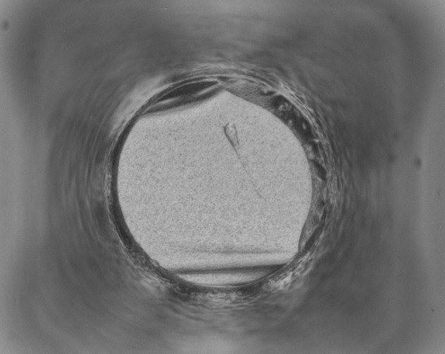 X0000087060103200705091210