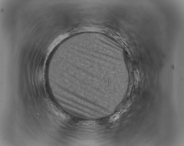 X0000087060104200705091210