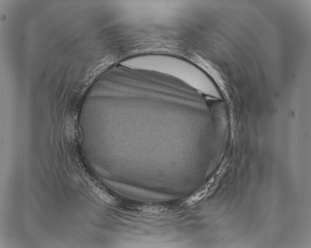 X0000087060105200705091210