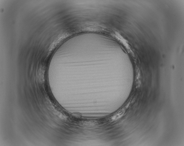 X0000087060106200705091210