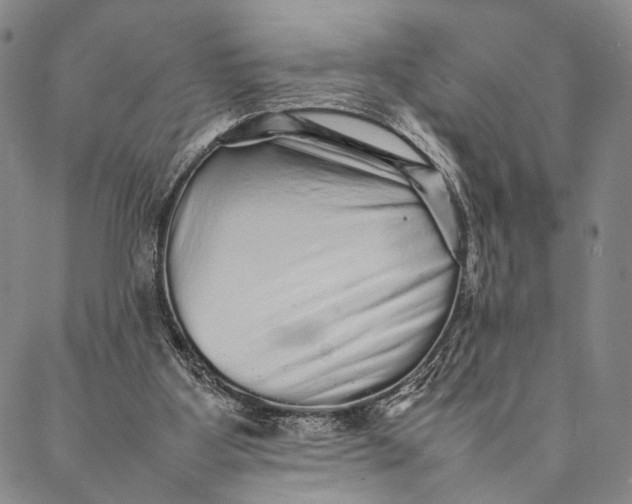 X0000087060107200705091210