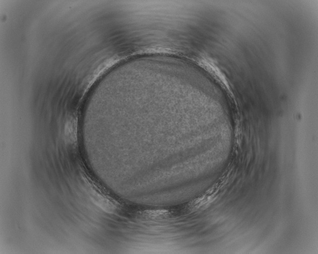 X0000087060108200705091210