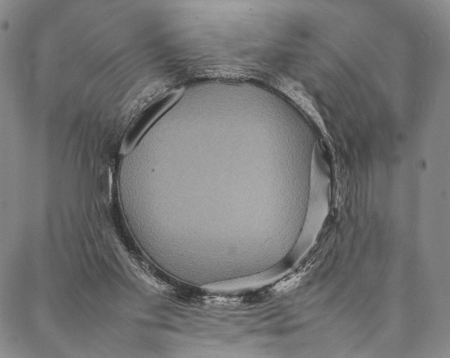 X0000087060109200705091210