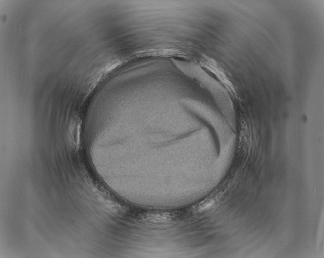 X0000087060110200705091210