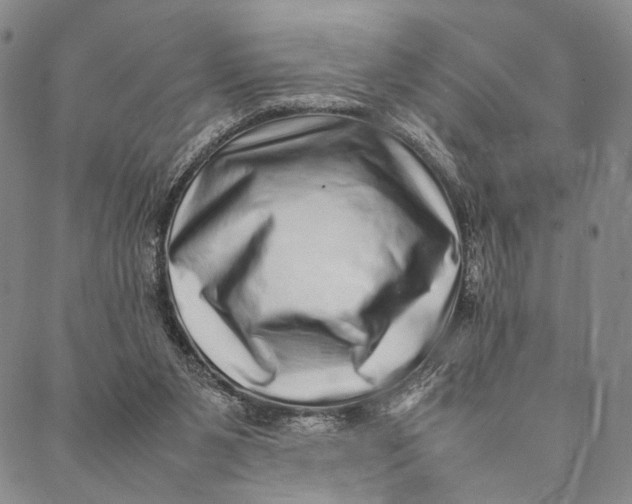 X0000087060111200705091210