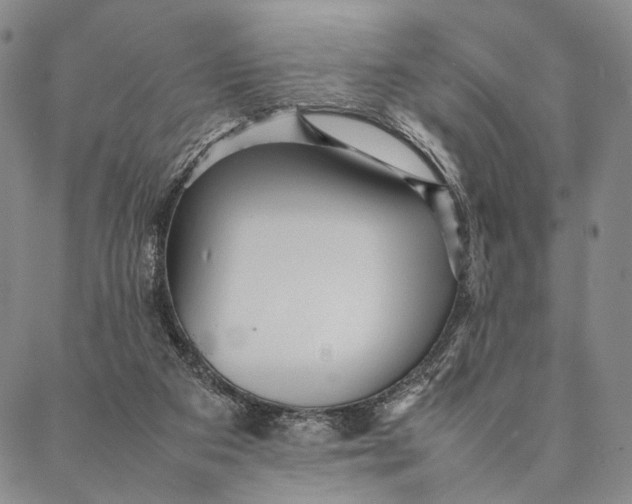 X0000087060113200705091210