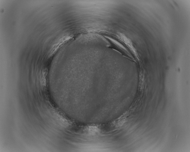 X0000087060114200705091210