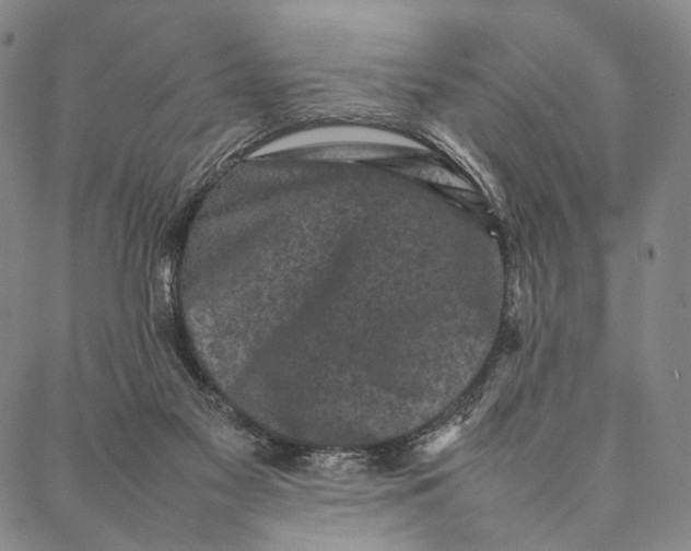 X0000087060117200705091210