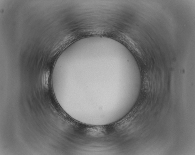 X0000087060118200705091210