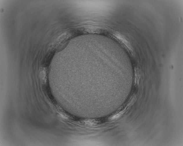 X0000087060121200705091210