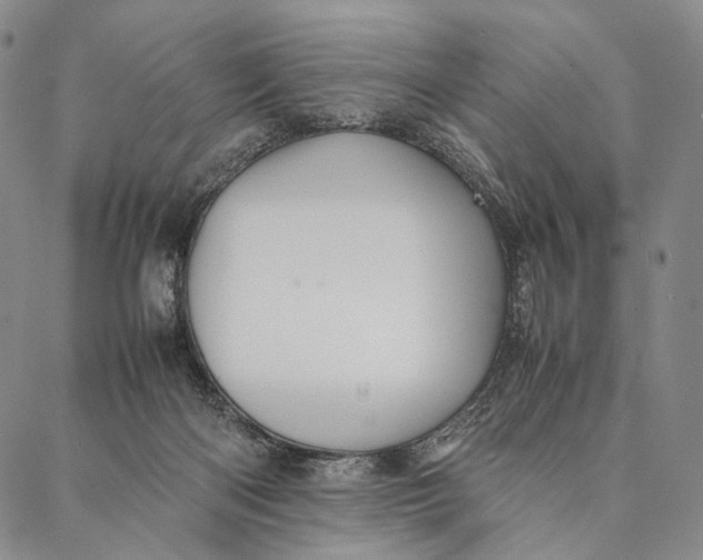 X0000087060122200705091210