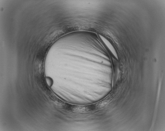 X0000087060123200705091210