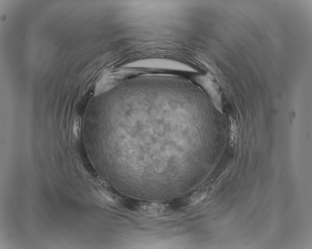 X0000087060125200705091210