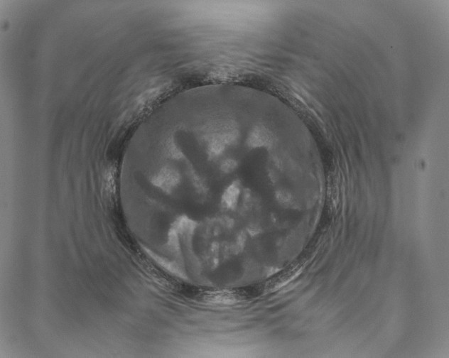 X0000087060127200705091210