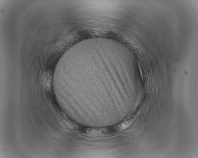 X0000087060129200705091210