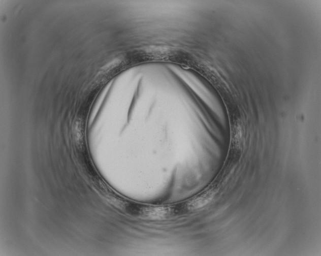 X0000087060131200705091210