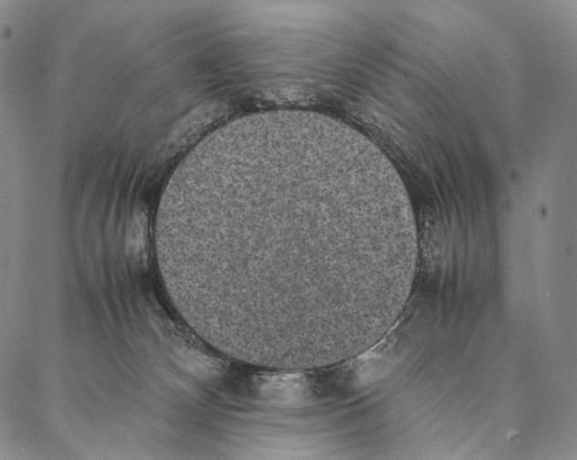 X0000087060132200705091210