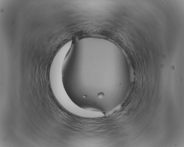 X0000087060133200705091210