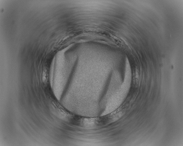 X0000087060134200705091210