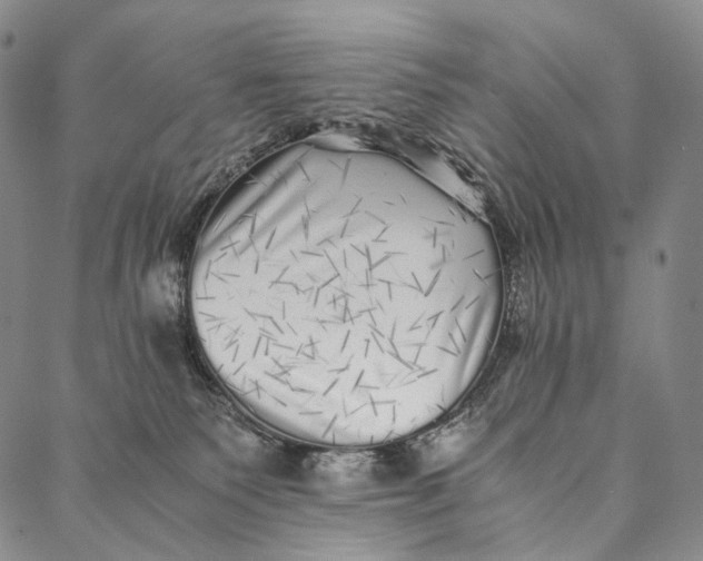 X0000087060135200705091210