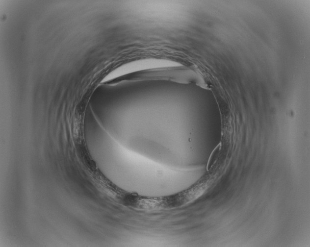 X0000087060139200705091210