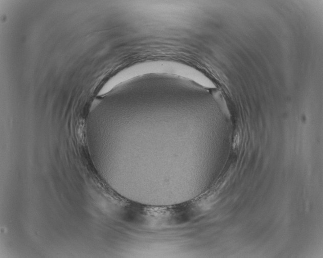 X0000087060141200705091210