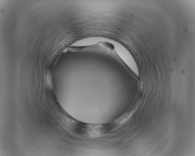 X0000087060143200705091210