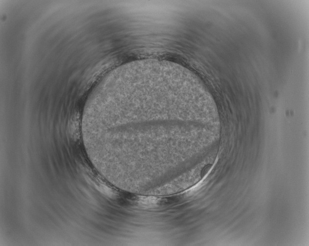 X0000087060144200705091210