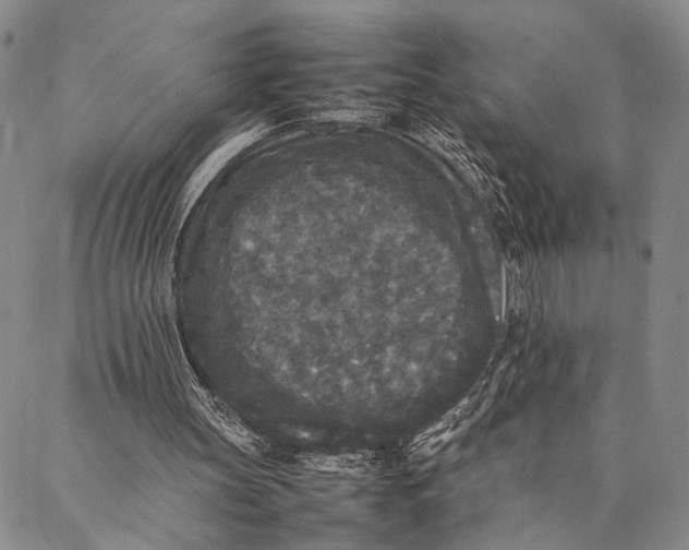 X0000087060147200705091209