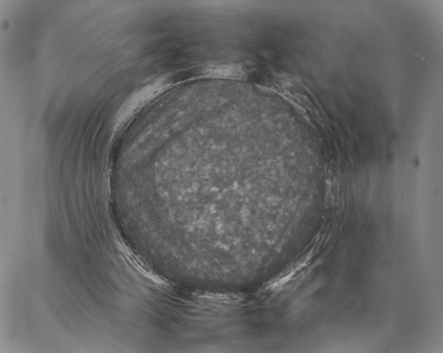 X0000087060149200705091209