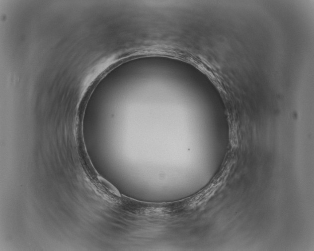 X0000087060152200705091209