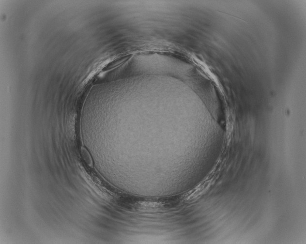 X0000087060154200705091209