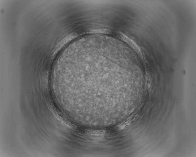 X0000087060155200705091209