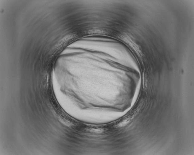 X0000087060157200705091209