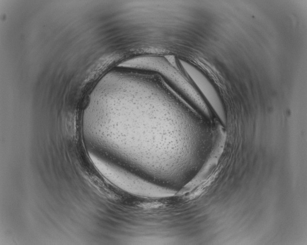 X0000087060158200705091209