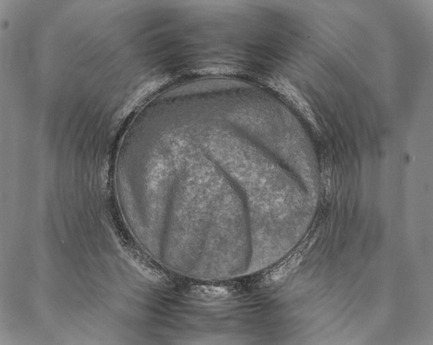 X0000087060159200705091209