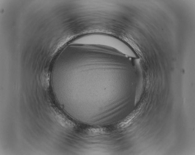 X0000087060160200705091209