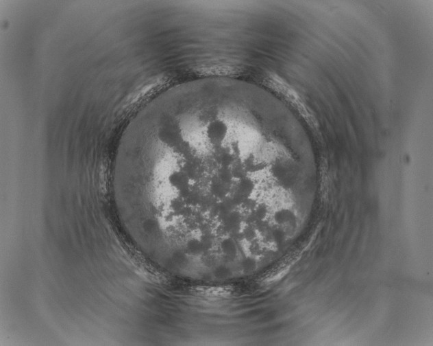 X0000087060161200705091209