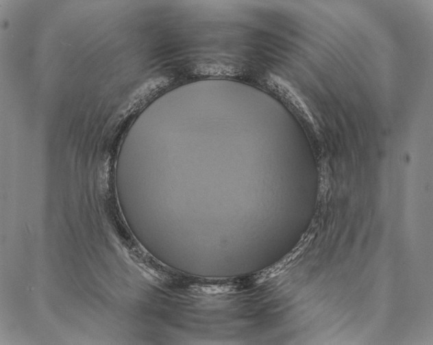 X0000087060163200705091209