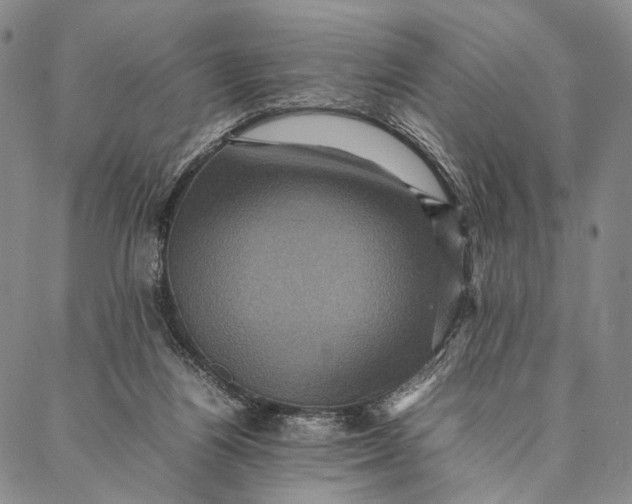 X0000087060164200705091209