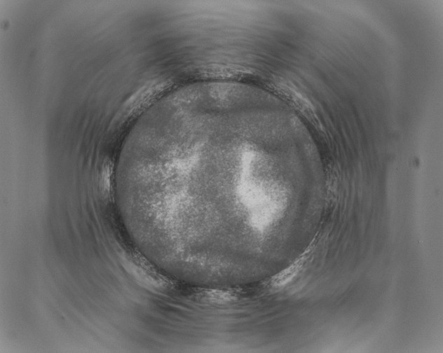 X0000087060166200705091209