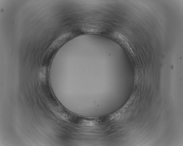 X0000087060167200705091209