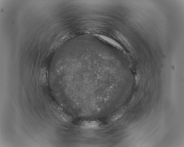 X0000087060169200705091209