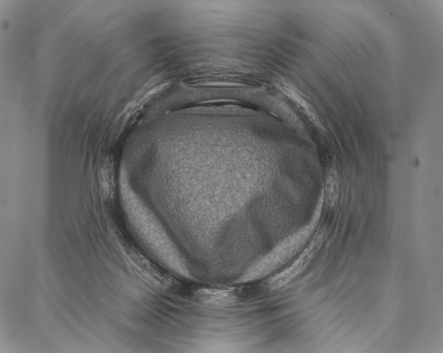 X0000087060170200705091209