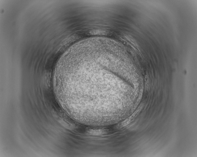 X0000087060171200705091209