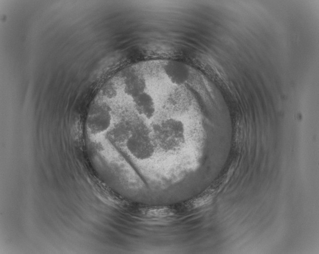 X0000087060173200705091209