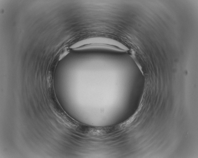 X0000087060174200705091209