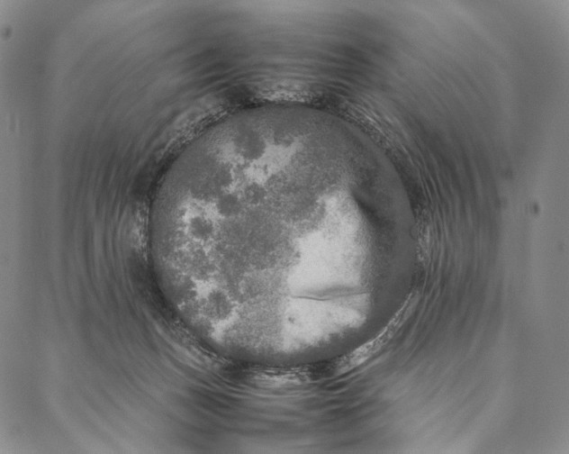 X0000087060175200705091209