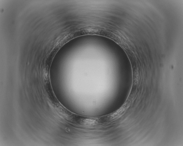 X0000087060176200705091209