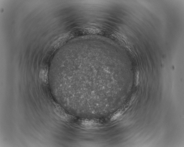 X0000087060177200705091209